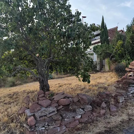 Maison Rénovée De 1890 Au Coeur Du Rougier *